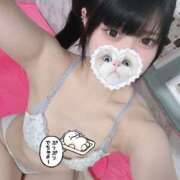 ヒメ日記 2025/08/09 14:39 投稿 みしろ 若葉