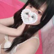 ヒメ日記 2025/08/10 06:22 投稿 みしろ 若葉