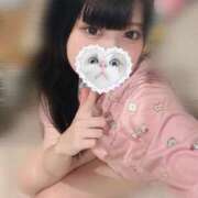 ヒメ日記 2025/08/11 08:25 投稿 みしろ 若葉