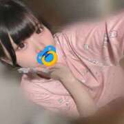 ヒメ日記 2025/08/14 12:25 投稿 みしろ 若葉