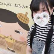 ヒメ日記 2025/08/17 19:35 投稿 みしろ 若葉