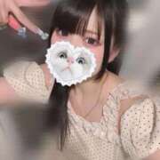 ヒメ日記 2025/08/29 14:05 投稿 みしろ 若葉