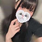 ヒメ日記 2025/09/01 09:45 投稿 みしろ 若葉