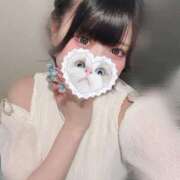 ヒメ日記 2025/09/04 06:15 投稿 みしろ 若葉