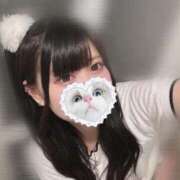 ヒメ日記 2025/09/04 19:11 投稿 みしろ 若葉