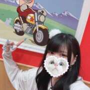 ヒメ日記 2025/09/07 06:25 投稿 みしろ 若葉