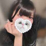 ヒメ日記 2025/09/11 09:05 投稿 みしろ 若葉