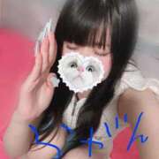 ヒメ日記 2025/09/12 10:45 投稿 みしろ 若葉