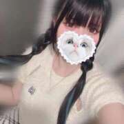 ヒメ日記 2025/09/13 06:35 投稿 みしろ 若葉