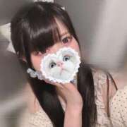 ヒメ日記 2025/09/15 17:35 投稿 みしろ 若葉