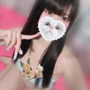 ヒメ日記 2025/09/17 14:41 投稿 みしろ 若葉