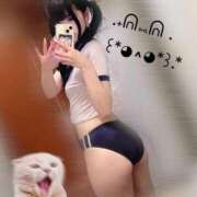 ヒメ日記 2025/09/24 06:05 投稿 みしろ 若葉