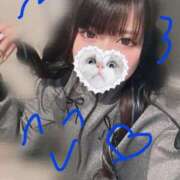 ヒメ日記 2025/09/25 18:55 投稿 みしろ 若葉