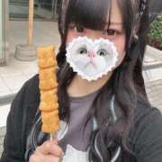 ヒメ日記 2025/09/29 14:05 投稿 みしろ 若葉