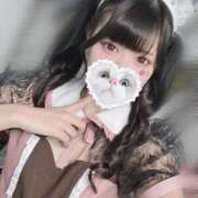 ヒメ日記 2025/10/04 06:35 投稿 みしろ 若葉