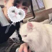 ヒメ日記 2025/10/10 22:45 投稿 みしろ 若葉