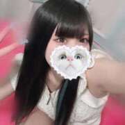 ヒメ日記 2025/10/12 06:25 投稿 みしろ 若葉