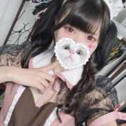 ヒメ日記 2025/10/18 21:05 投稿 みしろ 若葉