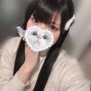 ヒメ日記 2025/10/23 08:25 投稿 みしろ 若葉