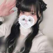 ヒメ日記 2025/10/25 06:48 投稿 みしろ 若葉