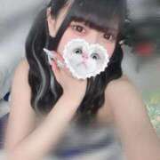 ヒメ日記 2025/10/31 06:41 投稿 みしろ 若葉