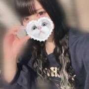 ヒメ日記 2025/11/01 06:45 投稿 みしろ 若葉