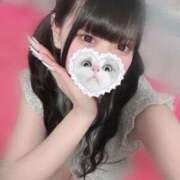 ヒメ日記 2025/11/02 10:25 投稿 みしろ 若葉