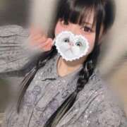 ヒメ日記 2025/11/05 05:45 投稿 みしろ 若葉