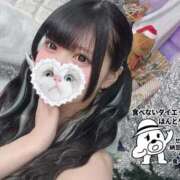 ヒメ日記 2025/11/06 08:16 投稿 みしろ 若葉