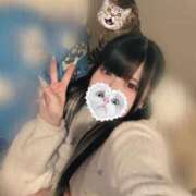 ヒメ日記 2025/11/10 13:45 投稿 みしろ 若葉