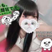 ヒメ日記 2025/11/10 19:25 投稿 みしろ 若葉