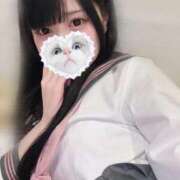 ヒメ日記 2025/11/13 12:05 投稿 みしろ 若葉