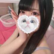 ヒメ日記 2025/11/14 17:45 投稿 みしろ 若葉