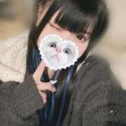 ヒメ日記 2025/11/15 14:45 投稿 みしろ 若葉