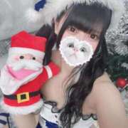 ヒメ日記 2025/11/16 06:17 投稿 みしろ 若葉