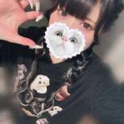 ヒメ日記 2025/11/20 12:05 投稿 みしろ 若葉