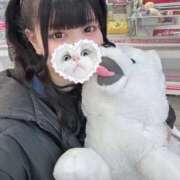 ヒメ日記 2025/11/20 15:15 投稿 みしろ 若葉