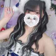 ヒメ日記 2025/11/21 13:05 投稿 みしろ 若葉