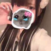 ヒメ日記 2025/11/23 06:33 投稿 みしろ 若葉