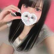 ヒメ日記 2025/11/24 10:04 投稿 みしろ 若葉