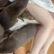 ヒメ日記 2025/11/27 12:20 投稿 みしろ 若葉