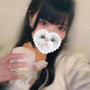 ヒメ日記 2025/11/29 06:40 投稿 みしろ 若葉