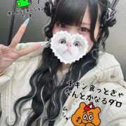 ヒメ日記 2025/11/29 14:55 投稿 みしろ 若葉