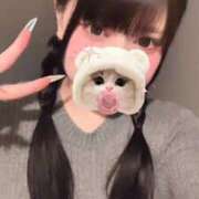 ヒメ日記 2025/12/06 06:15 投稿 みしろ 若葉