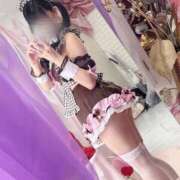 ヒメ日記 2025/12/09 20:36 投稿 みしろ 若葉