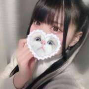 ヒメ日記 2025/12/23 06:35 投稿 みしろ 若葉