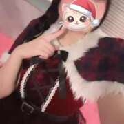 ヒメ日記 2025/12/24 09:05 投稿 みしろ 若葉