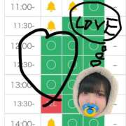 ヒメ日記 2025/12/29 05:23 投稿 みしろ 若葉