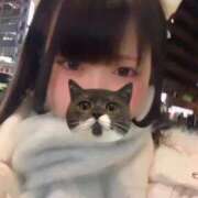 ヒメ日記 2026/01/12 12:18 投稿 みしろ 若葉