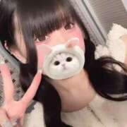 ヒメ日記 2026/01/20 17:16 投稿 みしろ 若葉